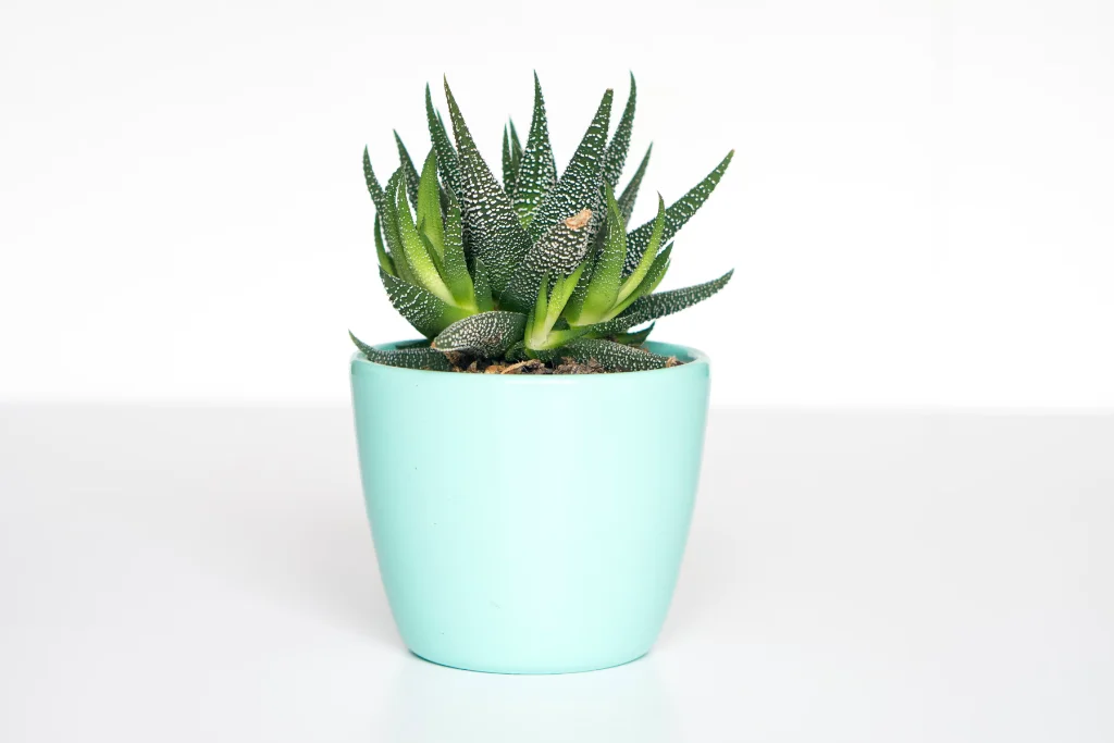 نکات نورپردازی دور جکوزی و وان